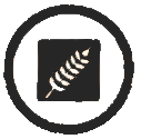 Gluten Icon